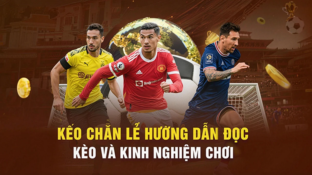 Thể thao: Đối chiếu thông tin thể thao trên di động trước khi tham gia cùng JF88